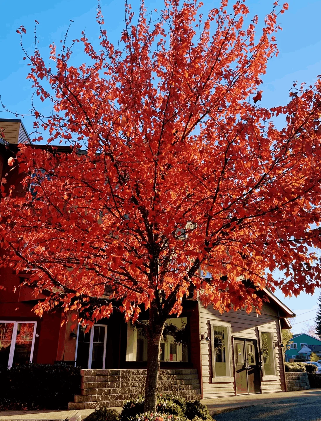 St. Anthony Village - Assisted Living