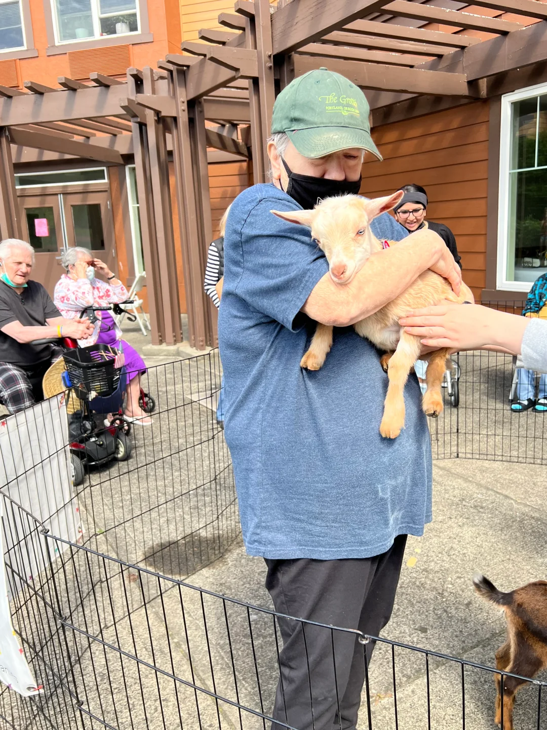 St. Anthony Village — Baby Goats, photo 1
