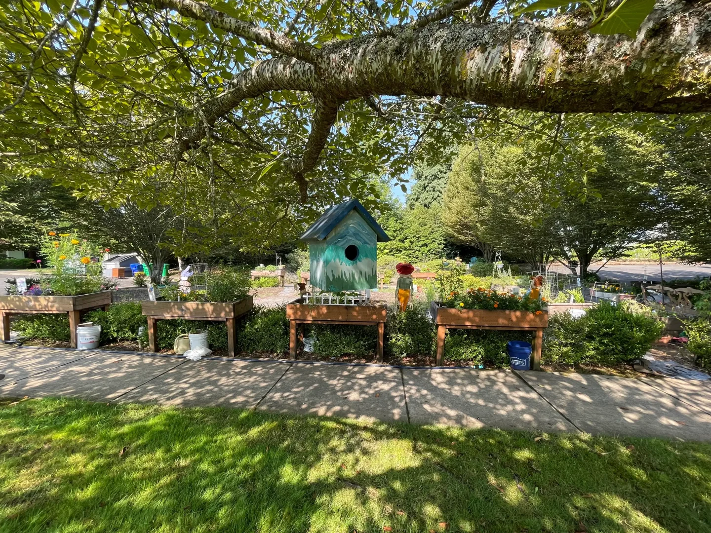 Assumption Village
